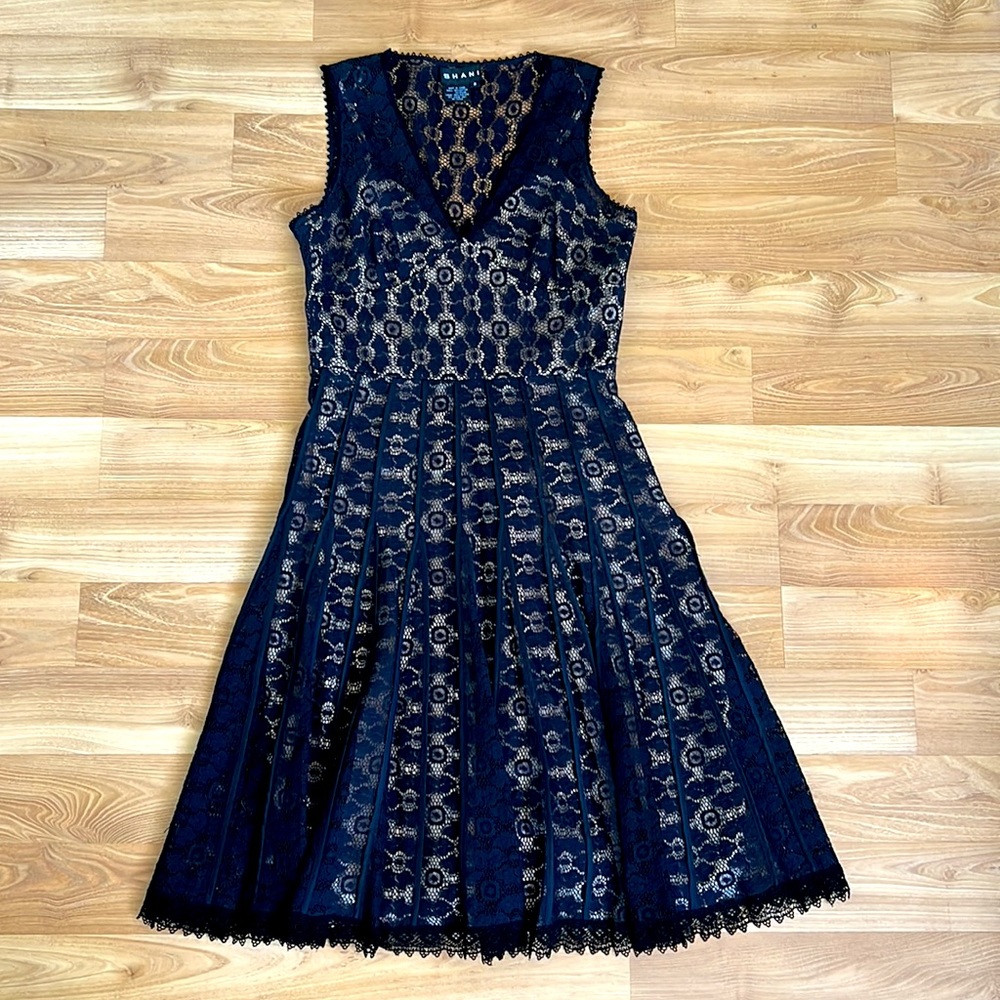 Shani Women’s Lace Fit & Flare Dress